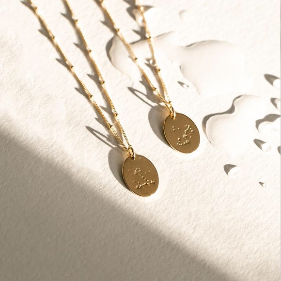 Pisces Bohemian Zodiac Minimalist Charm Necklace - Picture 7 of 13